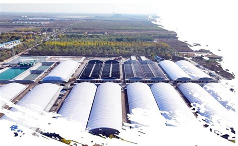 双王城：打造全链条万亩绿色现代化水产养殖示范园区 - 寿光日报