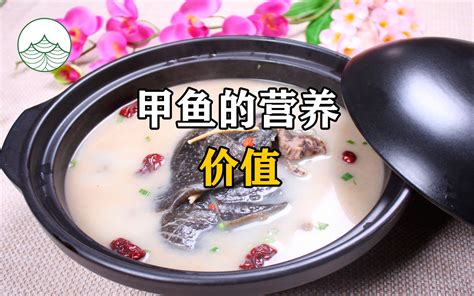 红汤炖甲鱼摄影图__传统美食_餐饮美食_摄影图库_昵图网nipic.com