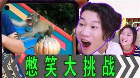 憋笑大挑战：猴子生气了，像个孩子一样咬人！_腾讯视频