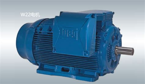 W21永磁同步电机—W21 Magnet_上海闻木电工设备有限公司_WEG工厂认证WEG低压电机WEG中高压电机总代理