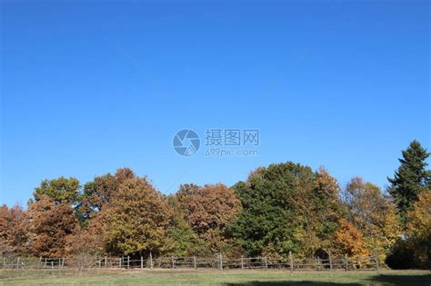 路马图片