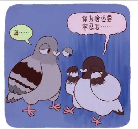 不要急，不要急 - 斗图大会 - 鸽子、好无表情库 - 真正的斗图网站 - dou.yuanmazg.com