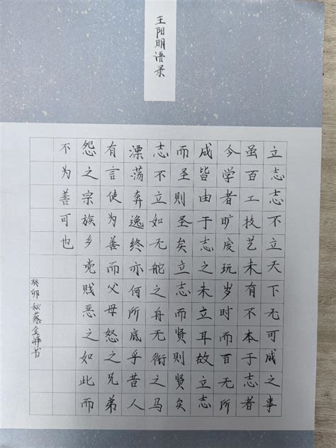 蔡金峰 - 立志（20句）