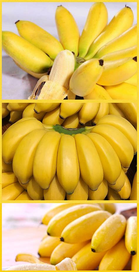 香蕉的5大种类，适合哪些人吃?你知道吗?如果都认识算你牛!