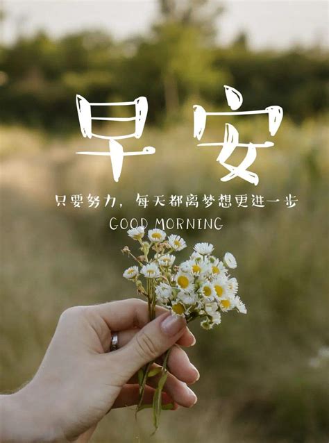 头像非主流图片早安