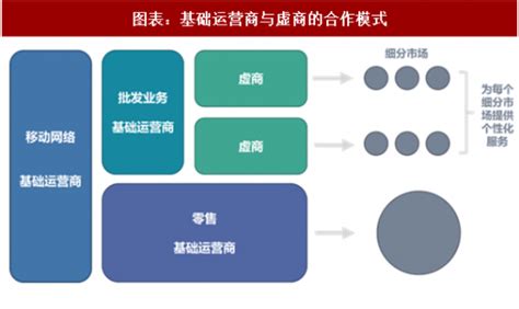 2018年中国虚拟运营商行业企业增长模型及转型措施分析（图）_观研报告网
