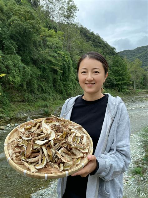 乔巴菌图片