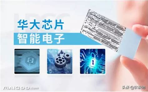 中国最好的芯片公司（中国十大芯片企业）-yanbaohui