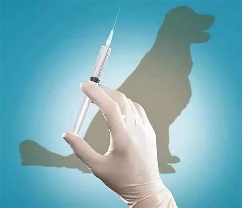 已经接种了长春长生的狂犬疫苗怎么办？专家这么说_凤凰网