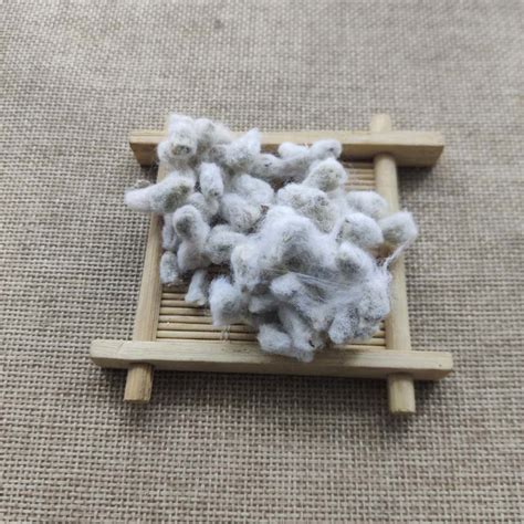 棉花籽是什么样子图片,棉花籽什么地方有卖的,棉籽图片大全(第14页)_大山谷图库