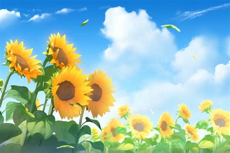 清新蓝天白云下向阳生长的向日葵插画图片素材下载_jpg格式_熊猫办公