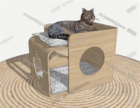 怎么用纸盒给小猫做窝-宠物网问答