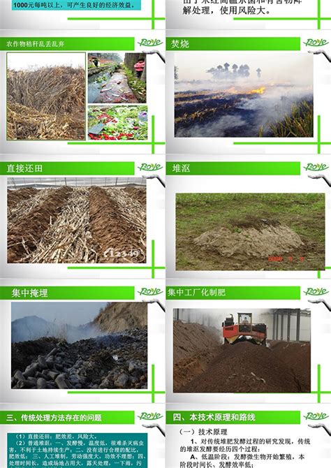 绿色废弃物资源化利用_广州市林业和园林科学研究院