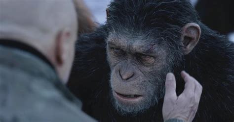 《猩球崛起4》有望年内开拍，迪士尼意欲打造新三部曲