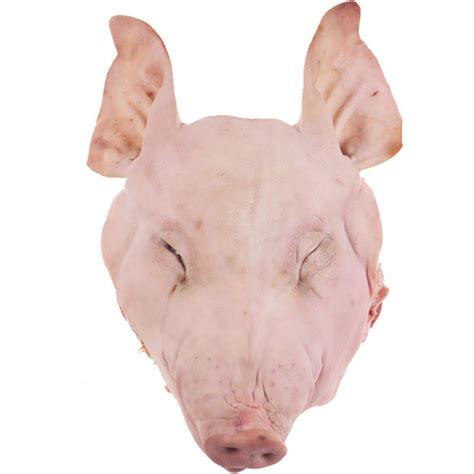 【博多客系列】新鲜猪头整个生猪头 带骨整猪头肉 约9斤图片,高清实拍图—苏宁易购