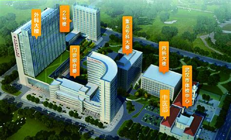 武汉市第一医院_地址_费用|多少钱_技术|成功率_试管婴儿医院 -试管邦