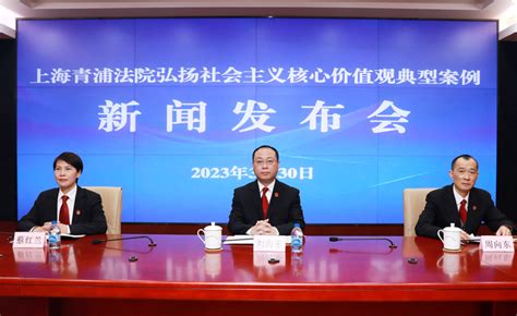 上海市高级人民法院网--上海青浦法院发布服务保障中国国际进口博览会白皮书
