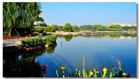 滨州旅游10大最好玩的地方，首选魏氏庄园和孙子兵法城，你去过