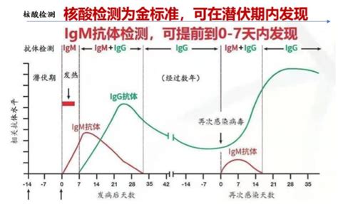 IgM和IgG,傻傻分不清楚 - 技术专题 - 武汉云克隆科技股份有限公司官方网站