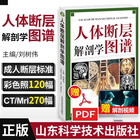 人体解剖学图谱图片