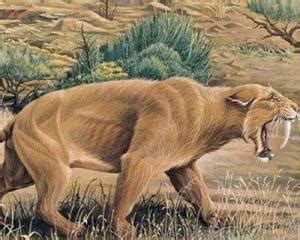 盘点10种最强大的史前猫科动物，洞狮仅排第7，多数能秒杀东北虎_剑齿虎_猎物_猎豹