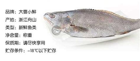 米鱼图片