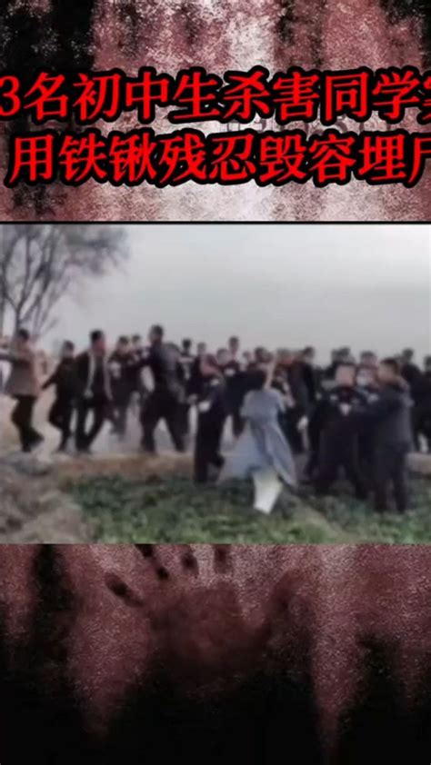 河北邯郸三名初中生杀害同学案，案件正在处理#未成年保护_腾讯视频