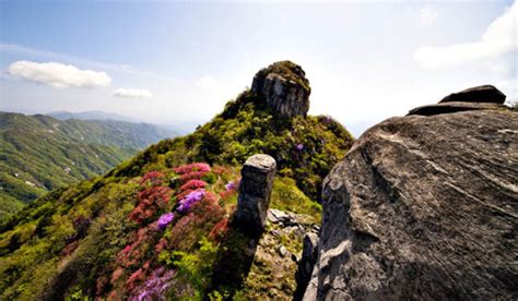 英山县旅游景点大全,英山旅游景点大全排名,英山八大景_大山谷图库