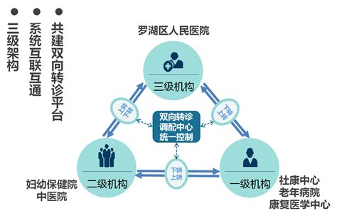 广东深圳罗湖区推出“互联网+医疗健康”医联体模式 让群众享受高效便捷健康服务--创新案例