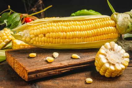 玉米须的功效与作用,玉米须煮水的药用价值_健康大百科