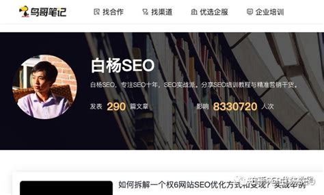 白杨SEO：《全网SEO搜索流量》SEO系列公众号付费阅读即将开写！【开篇】