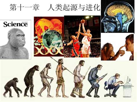人是怎么进化来的 什么是人类进化史_知秀网