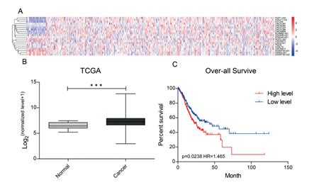 TCGA数据库分析某个基因在癌症和癌旁组织的表达差异 - 生信人