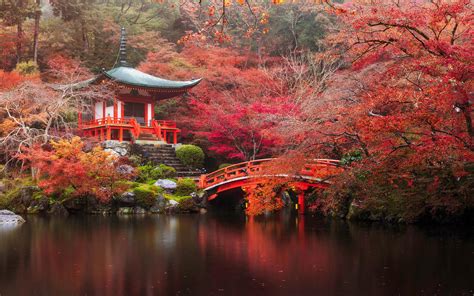 10 best places to visit in Japan - Lonely Planet