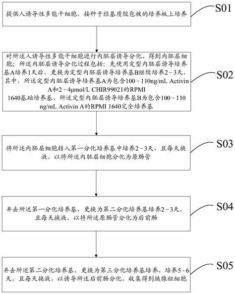 采购部3000多的工资能干嘛