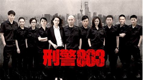 《中国刑警803英雄本色》电视剧_全集完整版高清在线观看,剧情介绍-2345电视