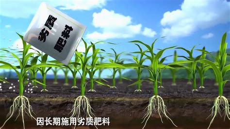 化肥种子农药推广宣传广告录音_腾讯视频