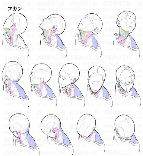 漫画人体入门图片