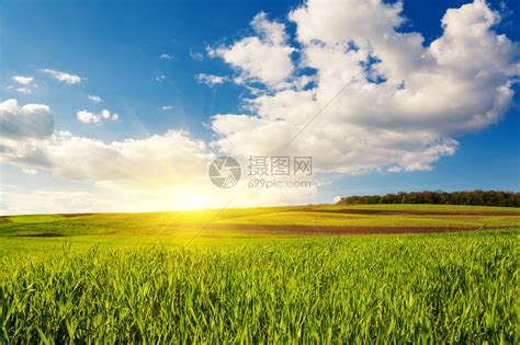 美丽的阳光明媚的天气与蓝天在田野中高清图片下载-正版图片507221903-摄图网