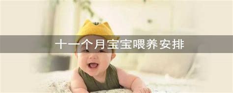 11个月宝宝喂养时间表_崔玉涛11个月宝宝的饮食安排 - 随意云