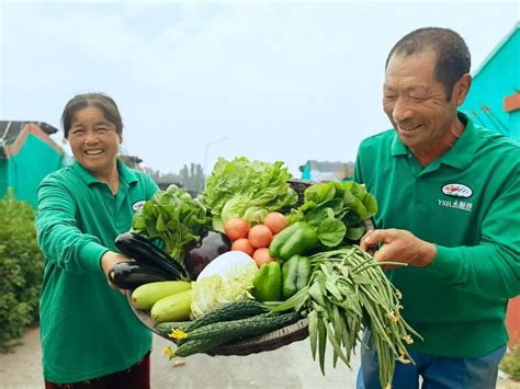乌什县：蔬菜合作社拓宽村民致富路 -天山网 - 新疆新闻门户