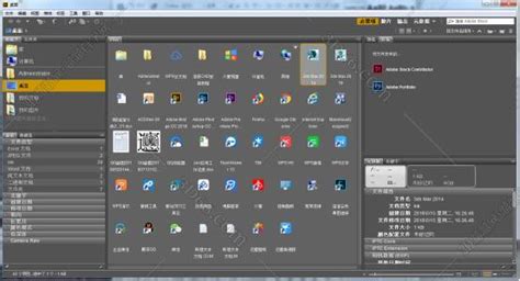 Adobe Bridge 2024（资源管理软件）v14.0.3 中文破解版_Adobe系列软件_知软博客