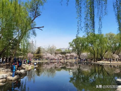 玉渊潭公园在哪里呀（北京名字最好听的一个公园，2050亩在闹市中，正是赏花好时节） | 说明书网