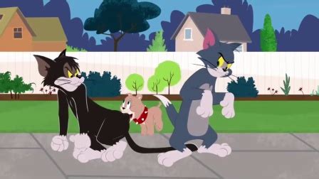 《新猫和老鼠第一季》全集-动漫-免费在线观看