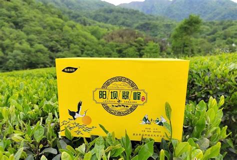 甘肃省2022年非遗购物节云上展示6：陇南茶叶——茶香悠远绵长