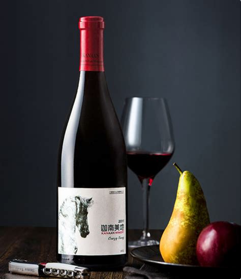 2021红酒十大品牌排行榜：桃乐丝上榜 第十智利葡萄酒代表 - 手工客