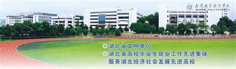 武汉职业技术学院-掌上高考