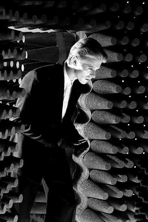大卫鲍威去世 David Bowie是英国代表性的音乐家|大卫|鲍威-娱乐百科-川北在线