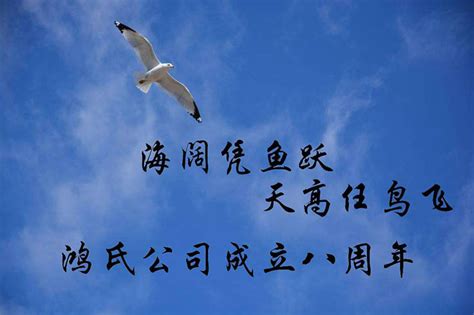 鸿氏公司成立八周年——海阔凭鱼跃，天高任鸟飞-零号窗口
