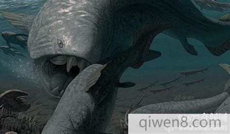 巨齿鲨VS邓氏鱼，到底谁是远古深海霸主